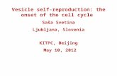 Vesicle self-reproduction: the onset of the cell cycle  Saša Svetina Ljubljana, Slovenia
