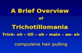 A Brief Overview  of Trichotillomania Trick- oh – till – oh – main –  ee - ah