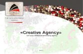 « Creative Agency »  full-cycle networked advertising agency 2010 г.