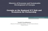 Georgia as the Regional ICT Hub and Ecosystem for Partnership