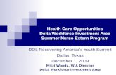Health Care Opportunities Delta Workforce Investment Area Summer Nurse Extern Program