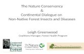 The Nature Conservancy & Continental Dialogue on  Non-Native Forest Insects and Diseases