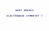 WHAT BREAKS ELECTROWEAK SYMMETRY ?