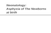 Neonatology:  Asphyxia of The Newborns  at birth