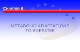 METABOLIC ADAPTATIONS TO EXERCISE