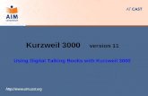 Kurzweil 3000     version 11