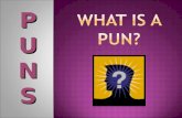 WHAT IS A PUN?