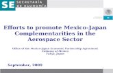 Efforts to promote Mexico-Japan Complementarities in the  Aerospace Sector