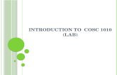 Introduction  to  COSC  1010  (Lab)