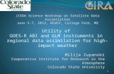 Milija Zupanski Cooperative  Institute for Research in the Atmosphere Colorado State University