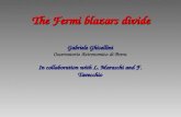 The Fermi blazars divide