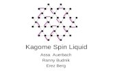 Kagome Spin Liquid