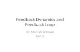 Feedback Dynamics and Feedback Loop