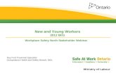 Workplace Safety North Stakeholder Webinar