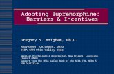 Adopting Buprenorphine:  Barriers & Incentives