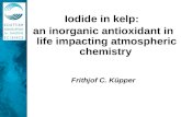 Iodide in kelp:  an inorganic antioxidant in life impacting atmospheric chemistry