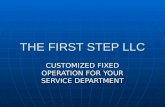 THE FIRST STEP LLC