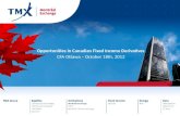 Opportunities  in Canadian  Fixed Income Derivatives CFA Ottawa –  October  18th, 2012