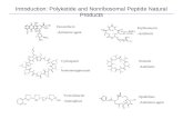 Introduction: Polyketide and Nonribosomal Peptide Natural Products