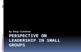 Perspective on Leadership in small groups