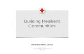 Building Resilient Communities