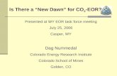 Is There a “New Dawn” for CO 2 -EOR?