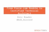 From  Force  Rookie to Certified Technical Architect