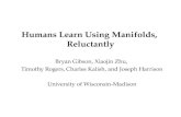 Humans Learn Using Manifolds,  Reluctantly