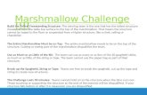 Marshmallow Challenge!!!!