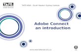 Adobe Connect   an introduction