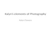 Kalyn’s  elements of Photography