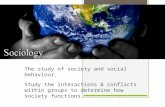 Study the interactions & conflicts within groups to determine how society functions.