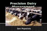 Precision Dairy Management