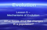 Lesson 6 –  Mechanisms of Evolution: What forces drive the changes in a population?