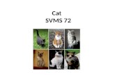 Cat   SVMS 72