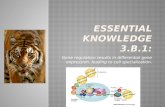 Essential knowledge 3.B.1: