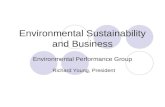 Environmental Sustainability and Business
