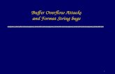 Buffer Overflow Attacks and Format String bugs