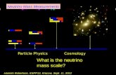 Particle Physics       Cosmology