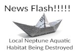 Local Neptune Aquatic Habitat Being Destroyed