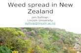 Weed spread in New Zealand