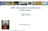 WP5: Micropattern  Gas  Detectors status report  Leszek Ropelewski CERN – PH - DT