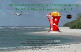 Observations of Early Ice Formation during  the ICE in Clouds Experi ment: ICE-T