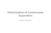 Motorisation of Centrosome Separation