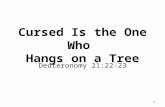 Cursed  Is the One Who  Hangs on a Tree