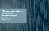 Micro-organisms & Into to Microscopes