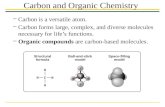 Carbon and Organic Chemistry
