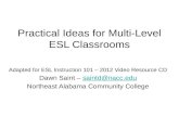 Practical  Ideas  for Multi-Level ESL Classrooms