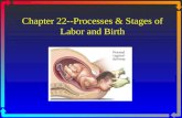 Chapter 22--Processes & Stages of Labor and Birth