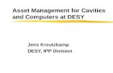 Asset Management for Cavities and Computers at DESY